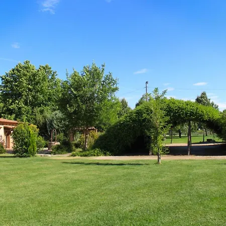 Candeal Ольмедо